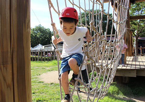 惊人的！战国大冒险！