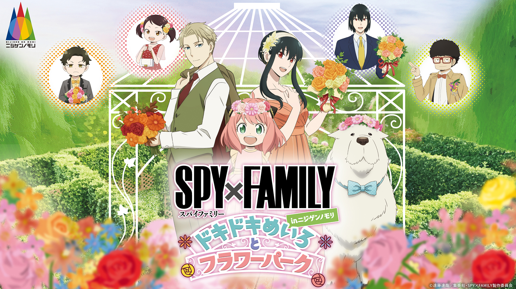 SPY x FAMILY